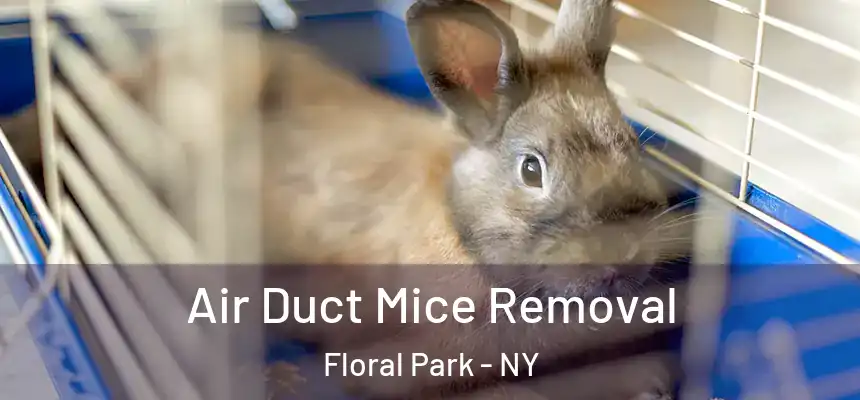  Air Duct Mice Removal Floral Park - NY