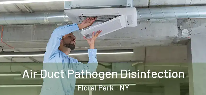  Air Duct Pathogen Disinfection Floral Park - NY