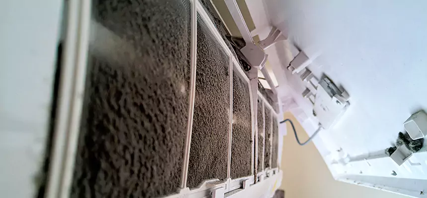 Preventive Air Duct Bacteria Removal in Floral Park