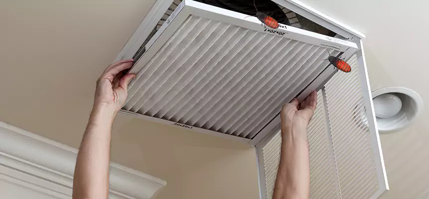 Preventive Cockroach-Proofing for Ducts in Floral Park
