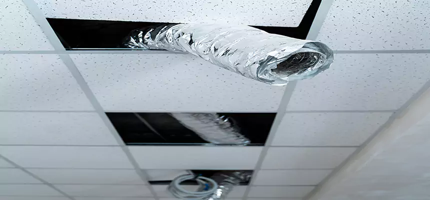 Our Air Duct Pet Hair Removal Services in Floral Park, NY