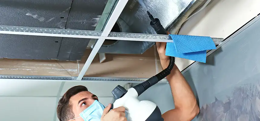 Our Air Duct Rodent Removal Services in Floral Park, NY