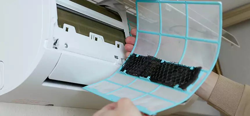 Gentle Ductwork Odor-Control Pet Dander Duct Cleaning in Floral Park, NY