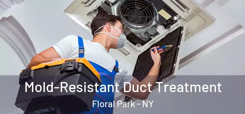  Mold-Resistant Duct Treatment Floral Park - NY