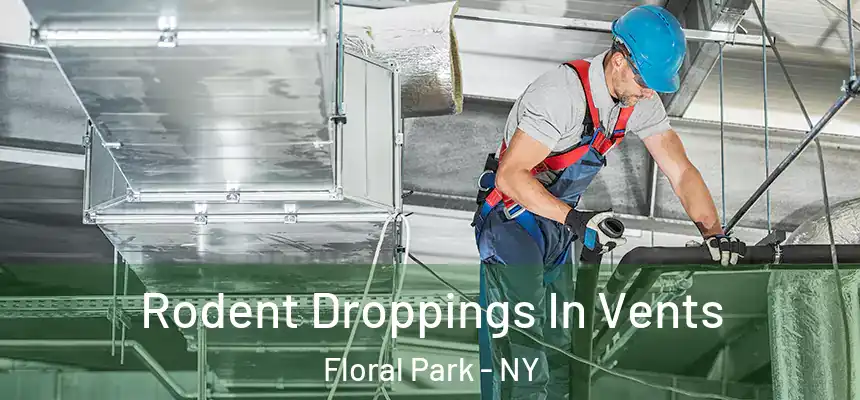  Rodent Droppings In Vents Floral Park - NY