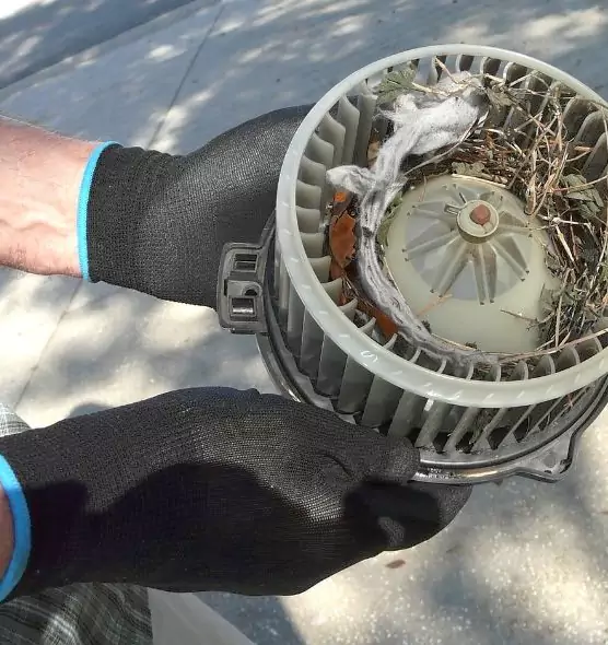 About Air Duct Mice Removal in Floral Park, NY