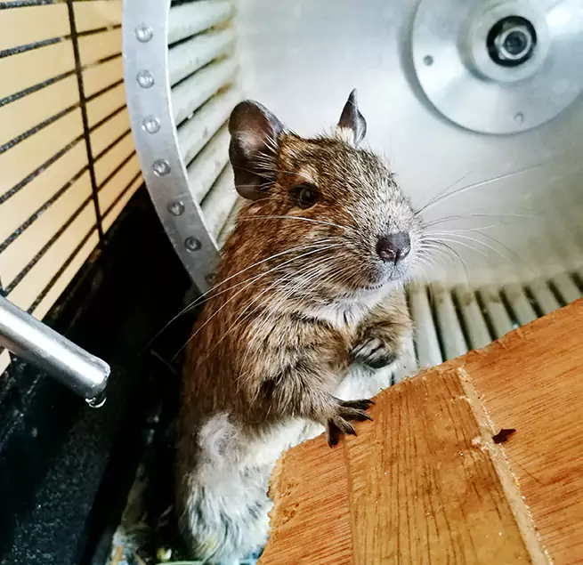 Why Homeowners & Businesses Trust Us Floral Park, NY