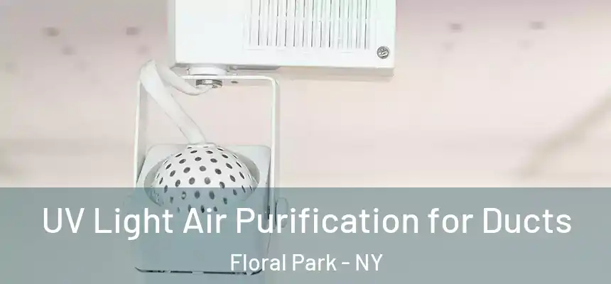  UV Light Air Purification for Ducts Floral Park - NY